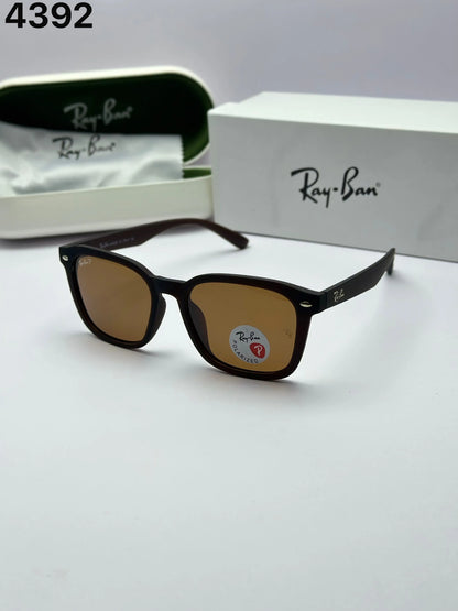 Rayban 4392 Black Brown 