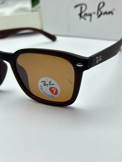 Rayban 4392 Black Brown